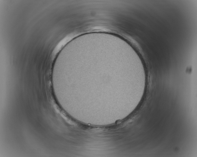 X0000112951373200910051209