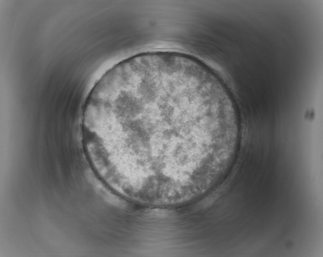 X0000112951374200910051209