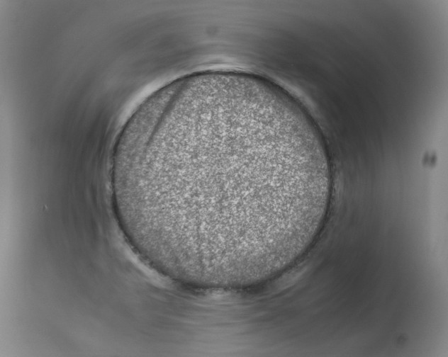 X0000112951375200910051209