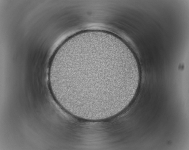 X0000112951376200910051209
