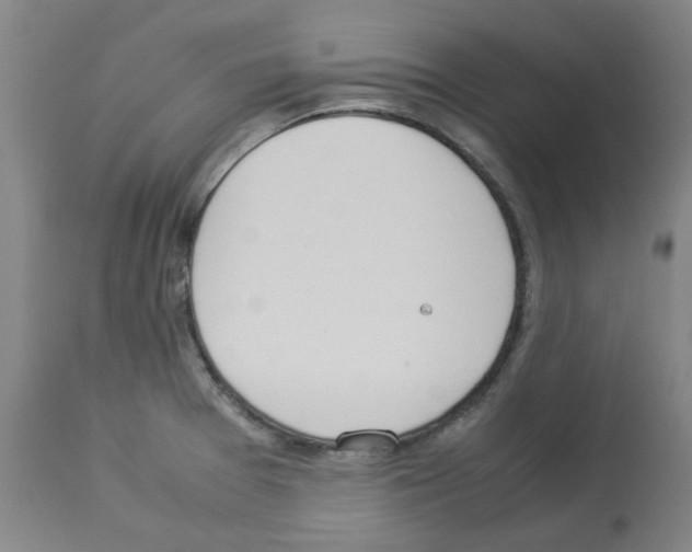 X0000112951377200910051209
