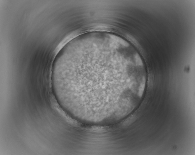 X0000112951378200910051209