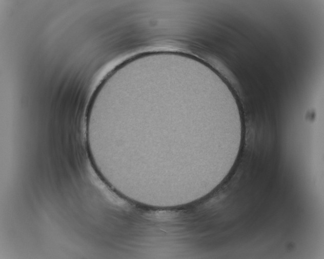 X0000112951380200910051209