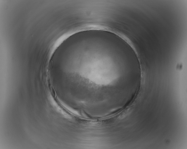 X0000112951381200910051209