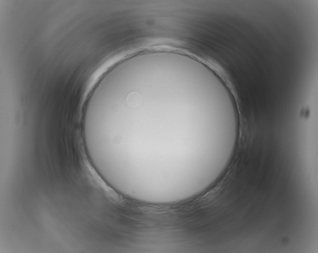 X0000112951384200910051209