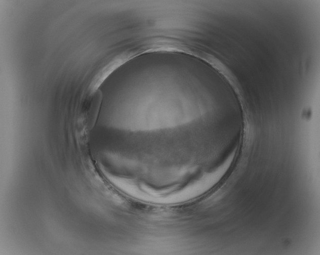 X0000112951385200910051209