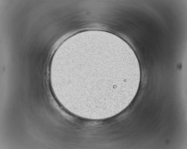 X0000112951387200910051209