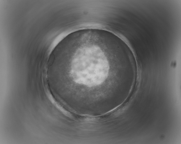 X0000112951389200910051209