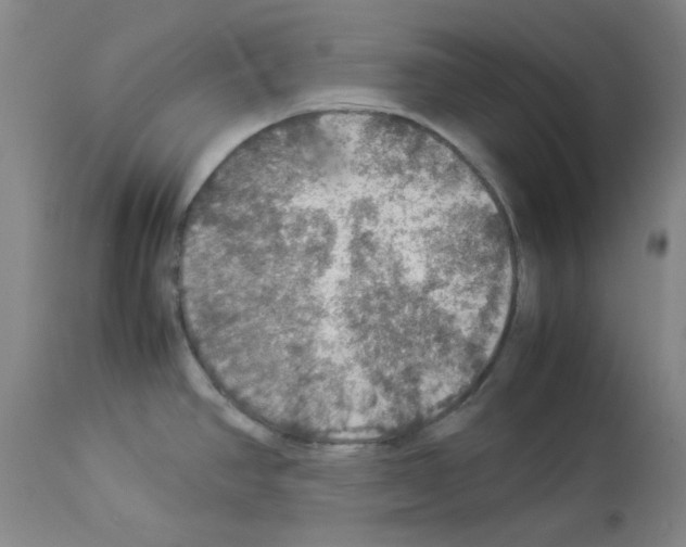 X0000112951390200910051209