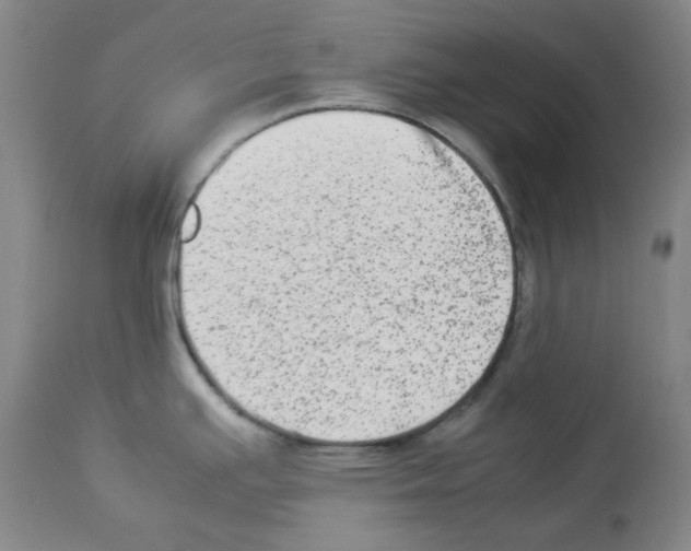 X0000112951391200910051209