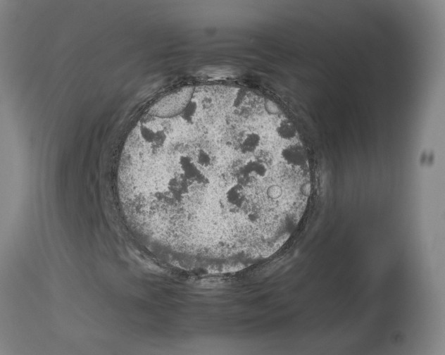 X0000112951393200910051208