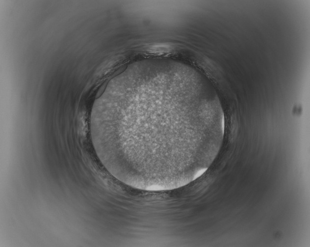 X0000112951394200910051208