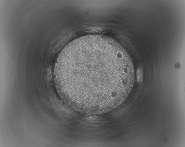 X0000112951395200910051208