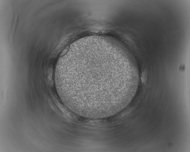 X0000112951396200910051208