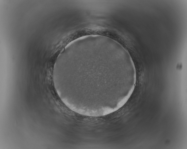 X0000112951397200910051208