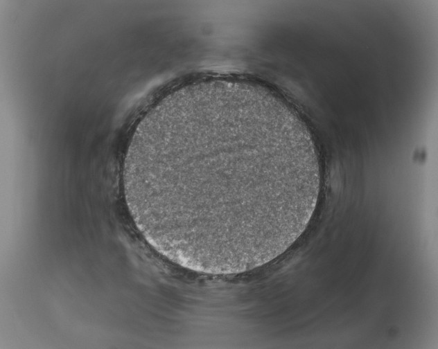 X0000112951398200910051208