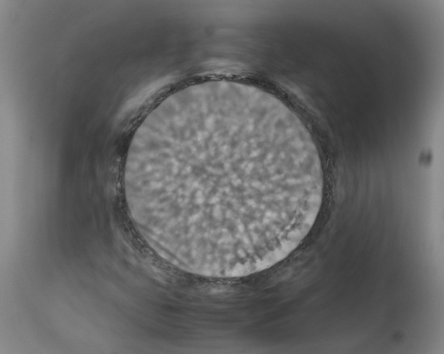 X0000112951399200910051208