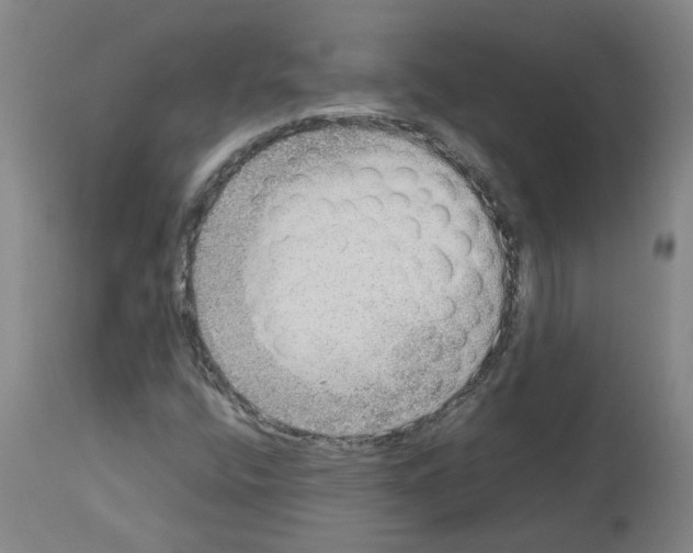 X0000112951400200910051208