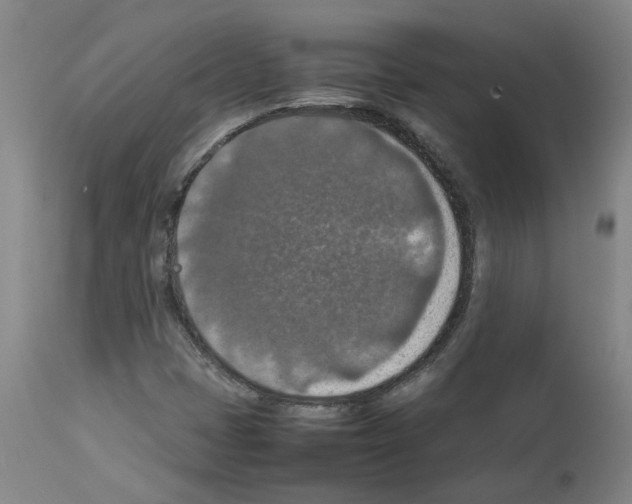 X0000112951401200910051208