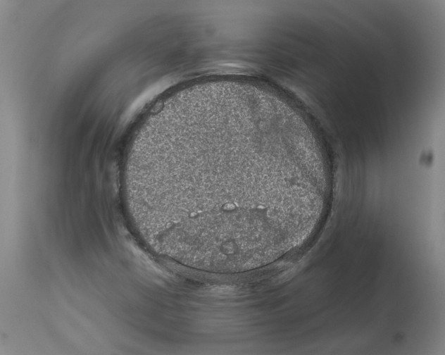 X0000112951402200910051208