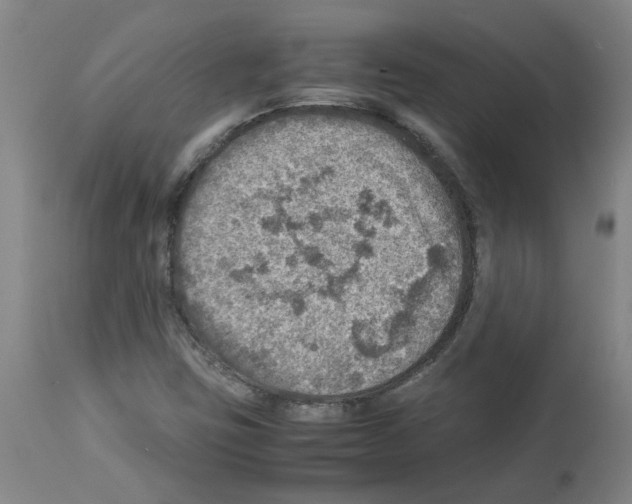 X0000112951403200910051208