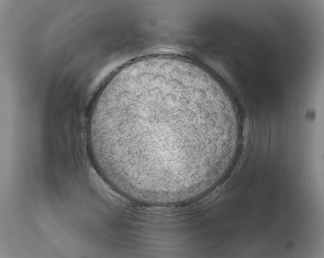 X0000112951404200910051208
