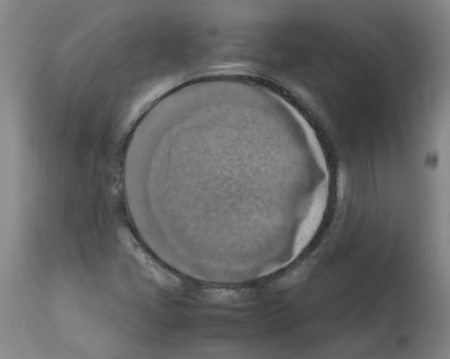 X0000112951405200910051208