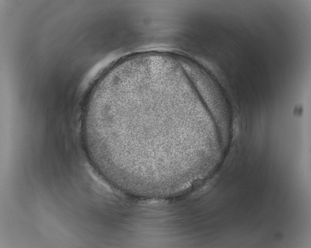 X0000112951406200910051208