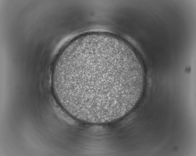 X0000112951408200910051208