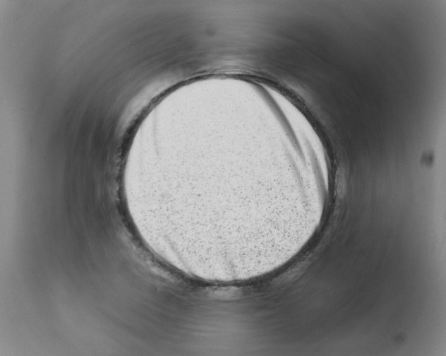 X0000112951410200910051208