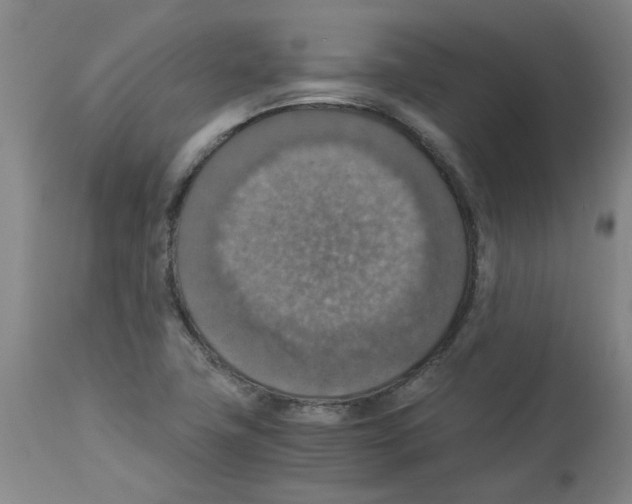 X0000112951411200910051208