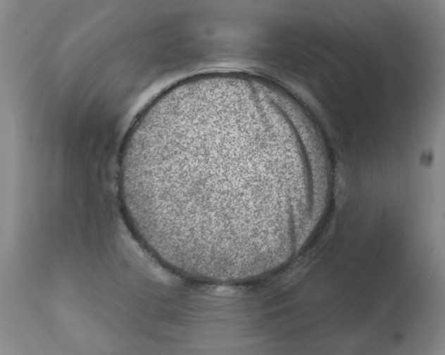 X0000112951412200910051208