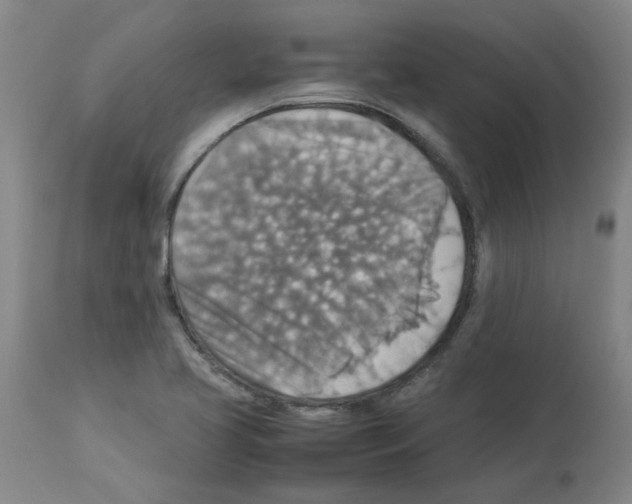 X0000112951413200910051208