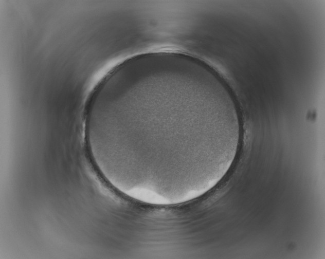 X0000112951414200910051208