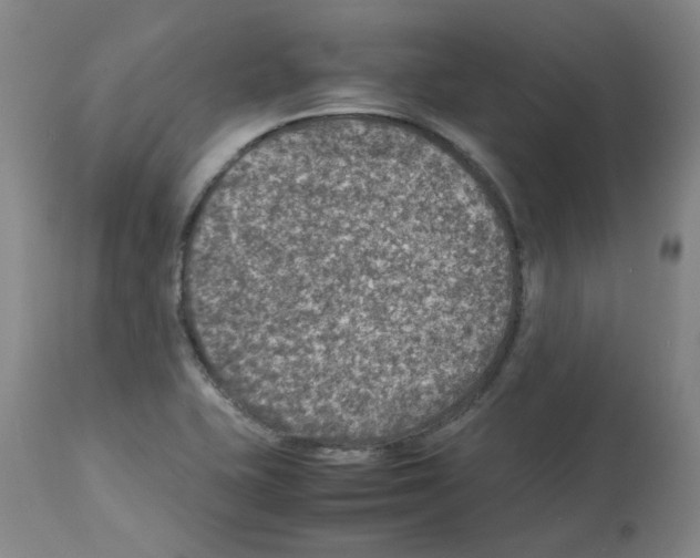 X0000112951415200910051208