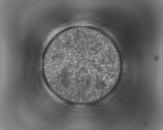 X0000112951416200910051208