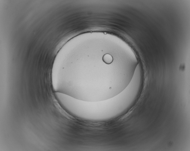 X0000112951417200910051208