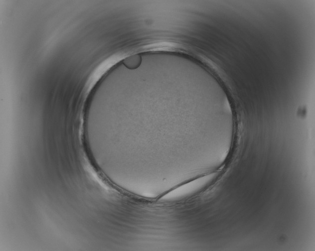 X0000112951418200910051208