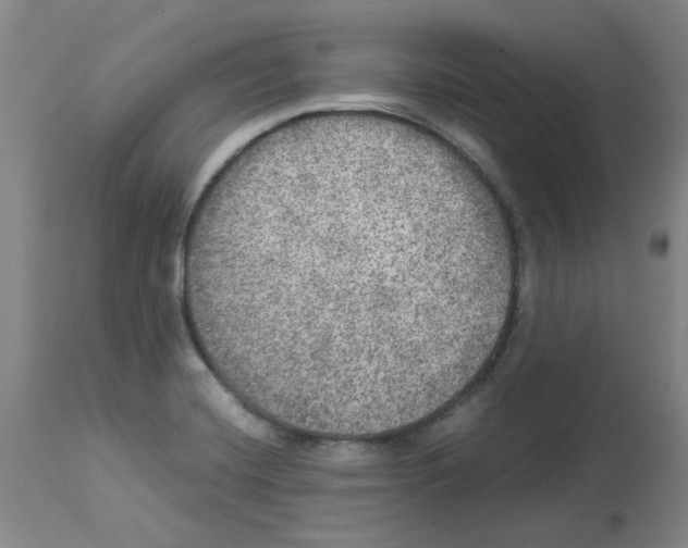 X0000112951420200910051208