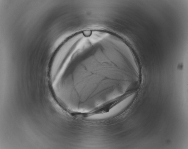 X0000112951422200910051208