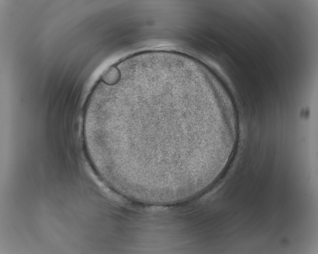 X0000112951424200910051208