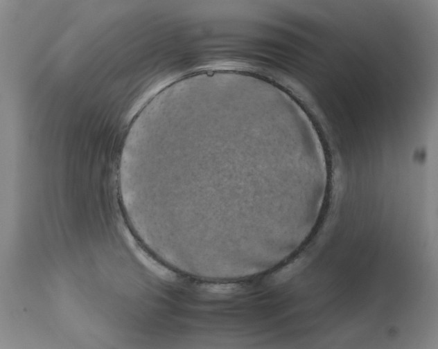 X0000112951425200910051208