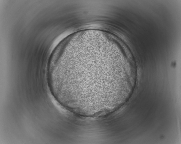 X0000112951426200910051208