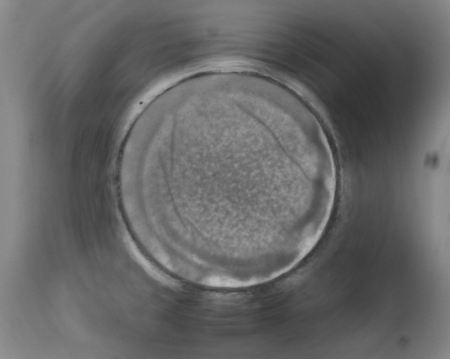 X0000112951429200910051208