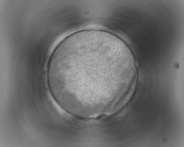 X0000112951430200910051208