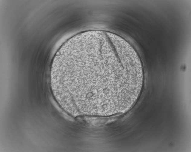 X0000112951432200910051208