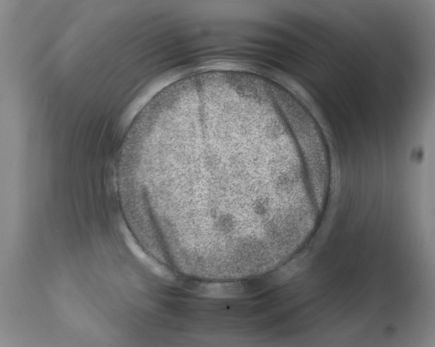 X0000112951433200910051208