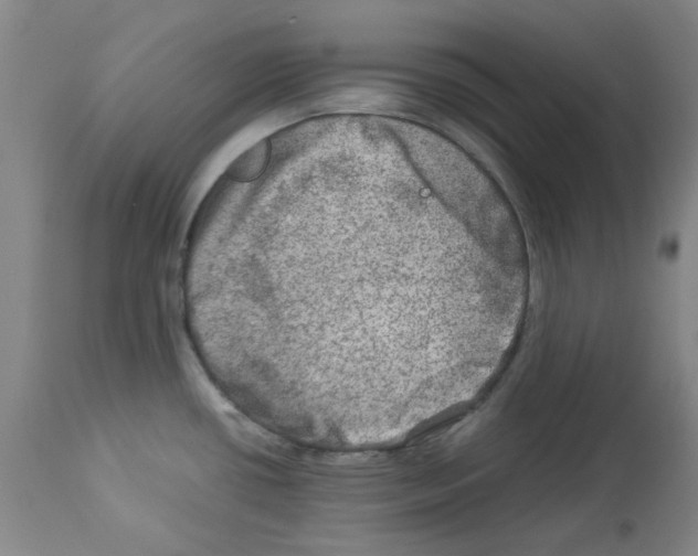 X0000112951434200910051208