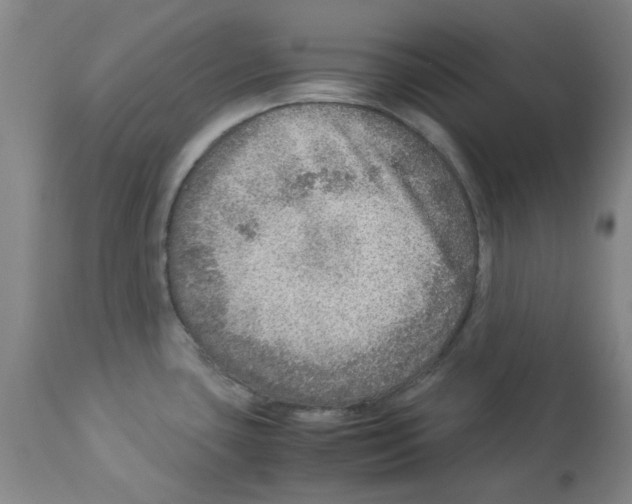 X0000112951435200910051208