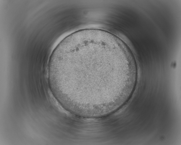 X0000112951436200910051208